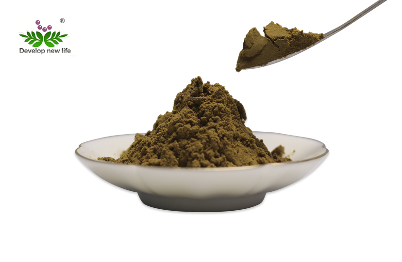 Best Reishi Mushroom Extract